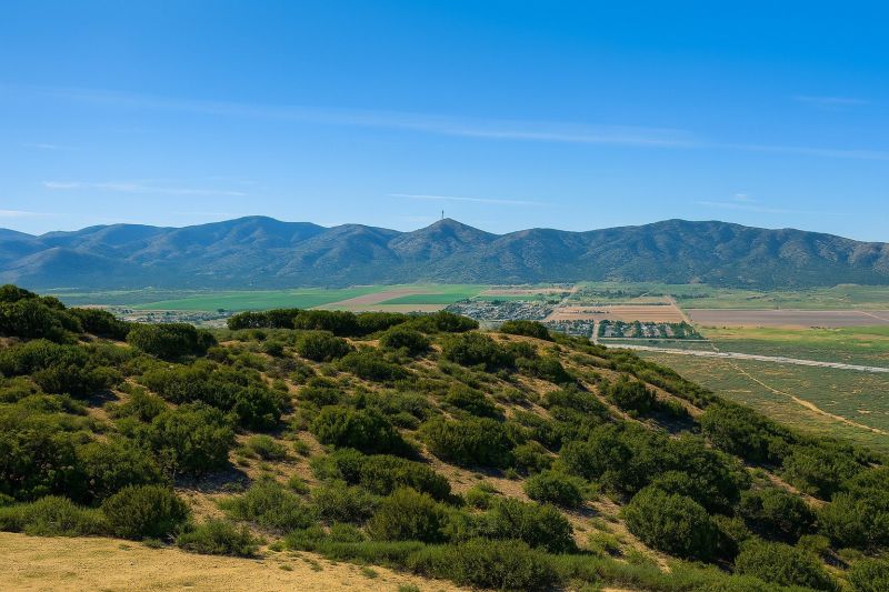 Gardening Service in Palmdale, CA