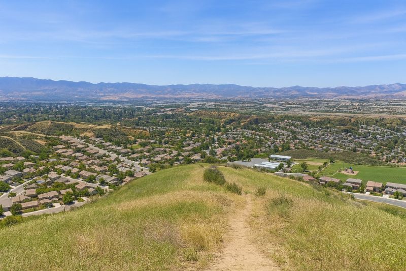 Hedge Installation in Santa Clarita, CA