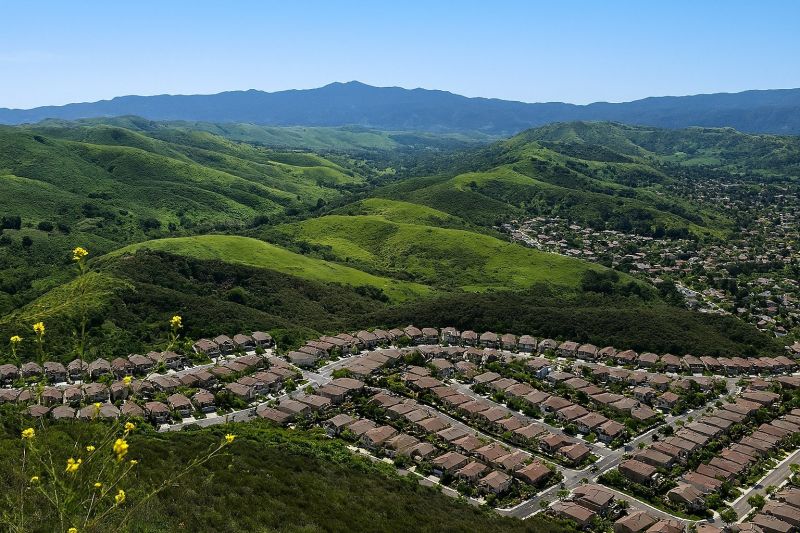 Hedge Installation in Simi Valley, CA