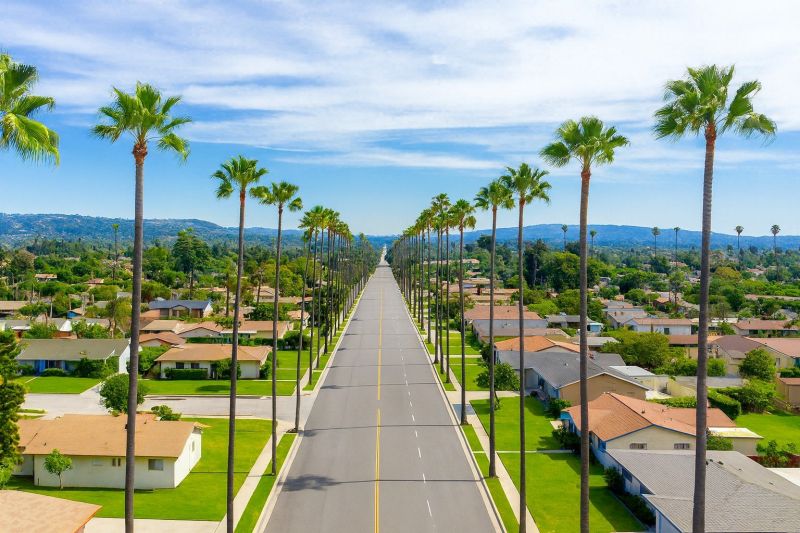 Shrub Replacement in West Covina, CA