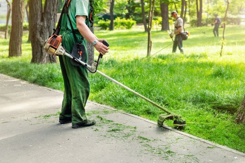 How Professional Landscaping Improves Curb Appeal