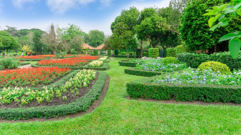 Shrub Replacement